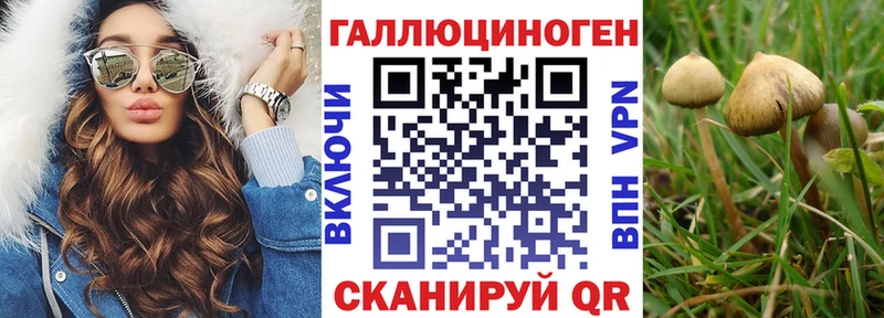 Псилоцибиновые грибы прущие грибы  Купить  Суздаль 