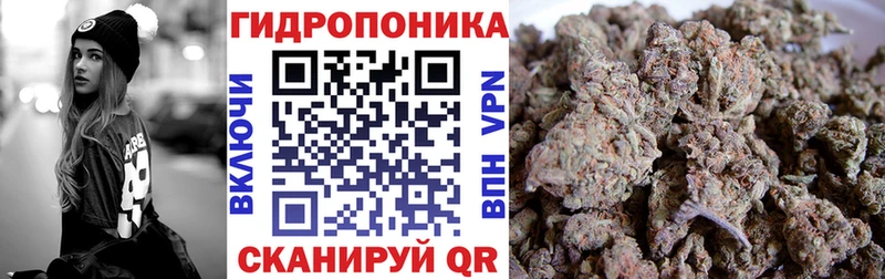 Марихуана сатива  Купить закладки  Суздаль 